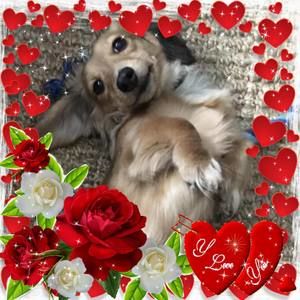 Meet your Posher, Marilyn